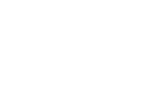 포트폴리오